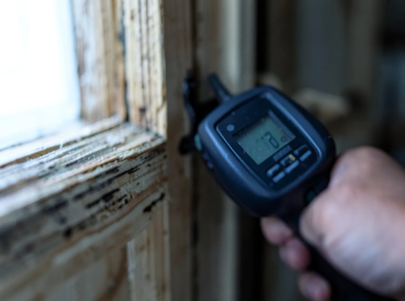 Moisture Inspection And Documentation in Machiasport, ME